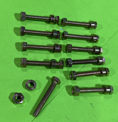 10 Pack Shear Pins & Nuts for AYP Sears Craftsman 1501216MA 301172 Snow Blower0