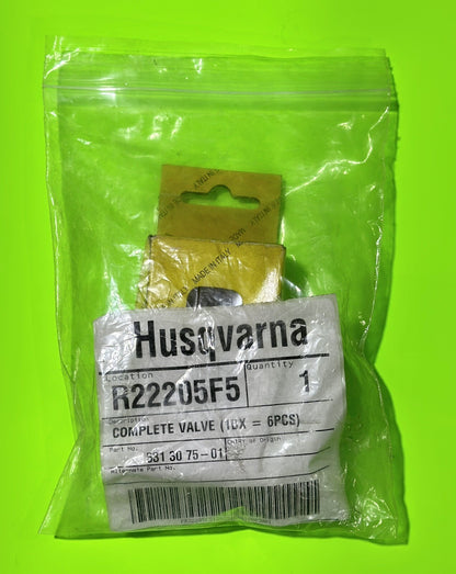 Genuine OEM Husqvarna 531307501 Complete Valve (1Bx = 6Pcs) For Pressure Washer0